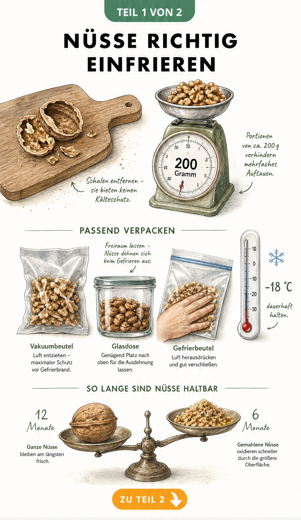 Illustration einer Küchenszene mit Walnuss, Küchenwaage, Vakuumbeutel, Glasdose, Gefrierbeutel und Thermometer bei -18 Grad Celsius