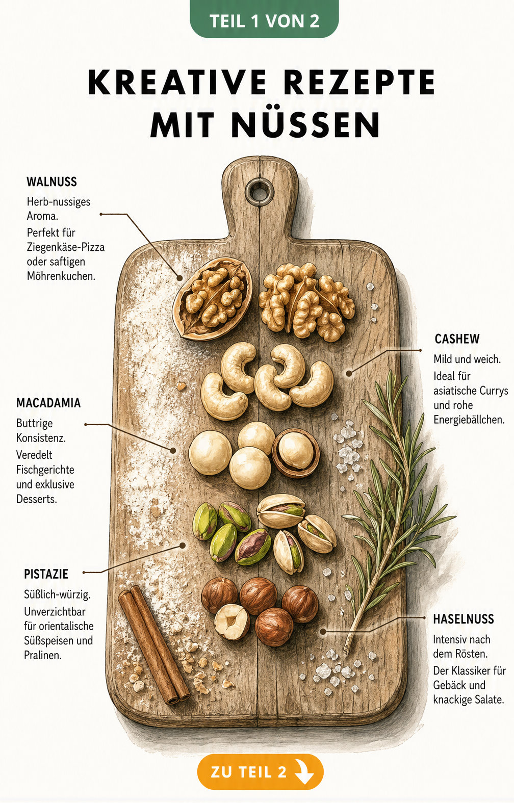 Illustration eines Holzschneidebretts mit Walnuss, Cashew, Macadamia, Pistazie und Haselnuss sowie passenden Rezeptideen