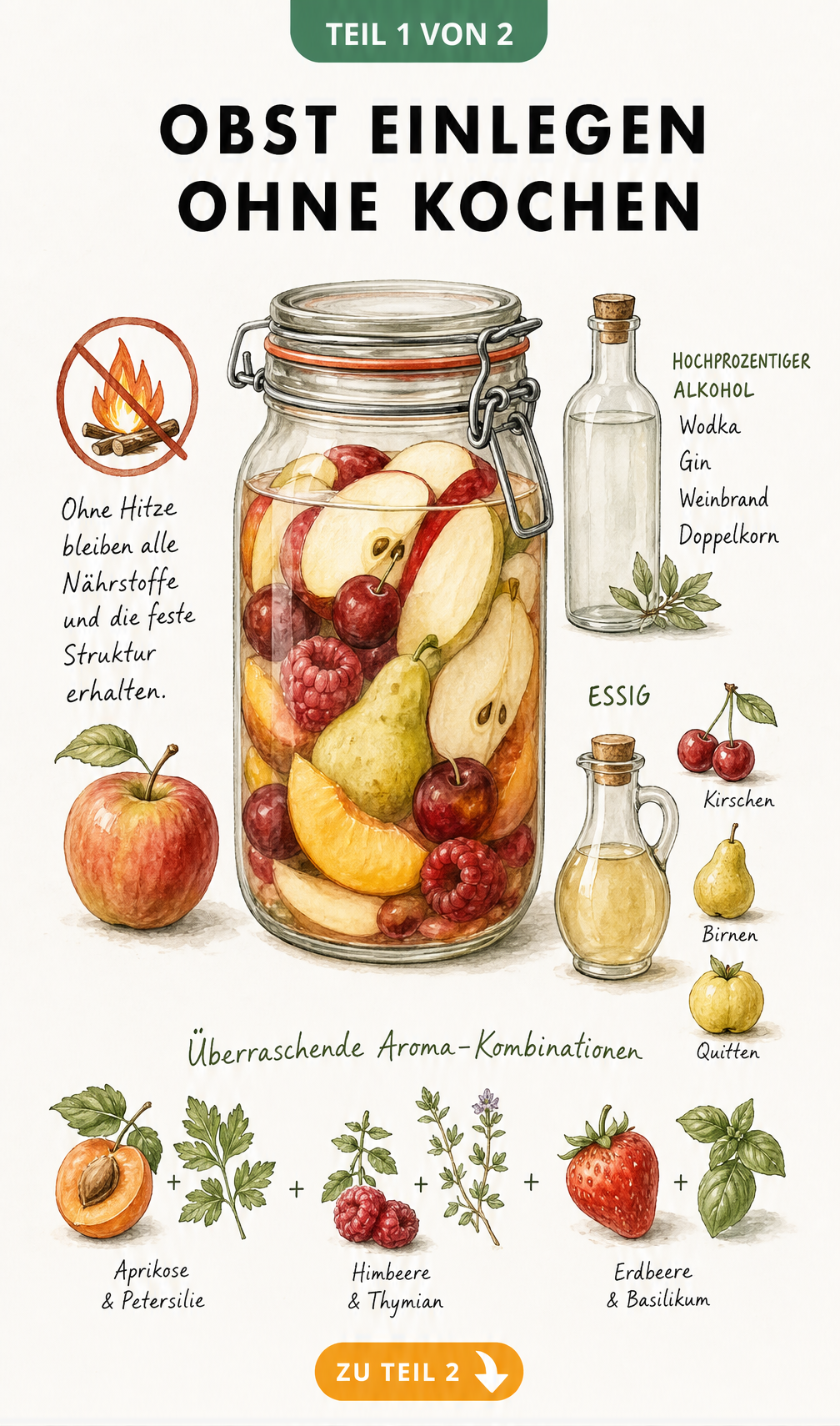 Illustration eines Einmachglases mit Hinweisen zum Obst einlegen ohne Kochen, passenden Alkoholsorten, Essig und exotischen Aromen-Kombinationen