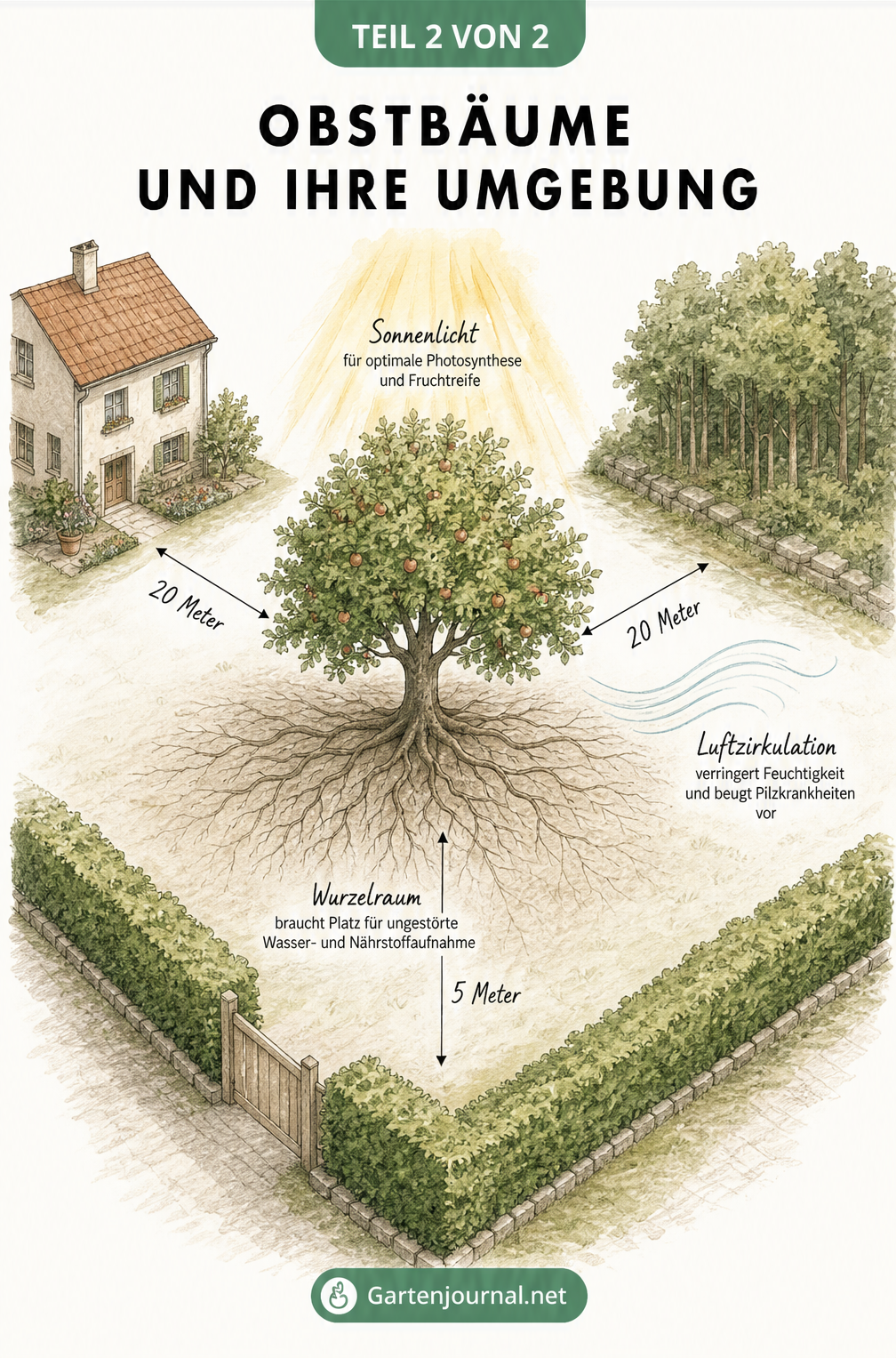 Isometrische Skizze eines Obstbaums mit Abständen zu Haus, Waldrand und Hecke sowie Hinweisen zu Wurzeln, Sonne und Wind