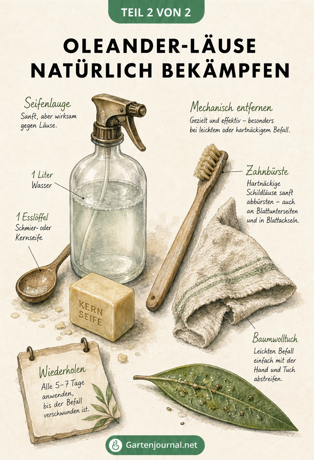 Illustration eines Pflanztisches mit Zutaten für Seifenlauge, Sprühflasche, Zahnbürste und Tuch zur natürlichen Bekämpfung von Oleander-Läusen
