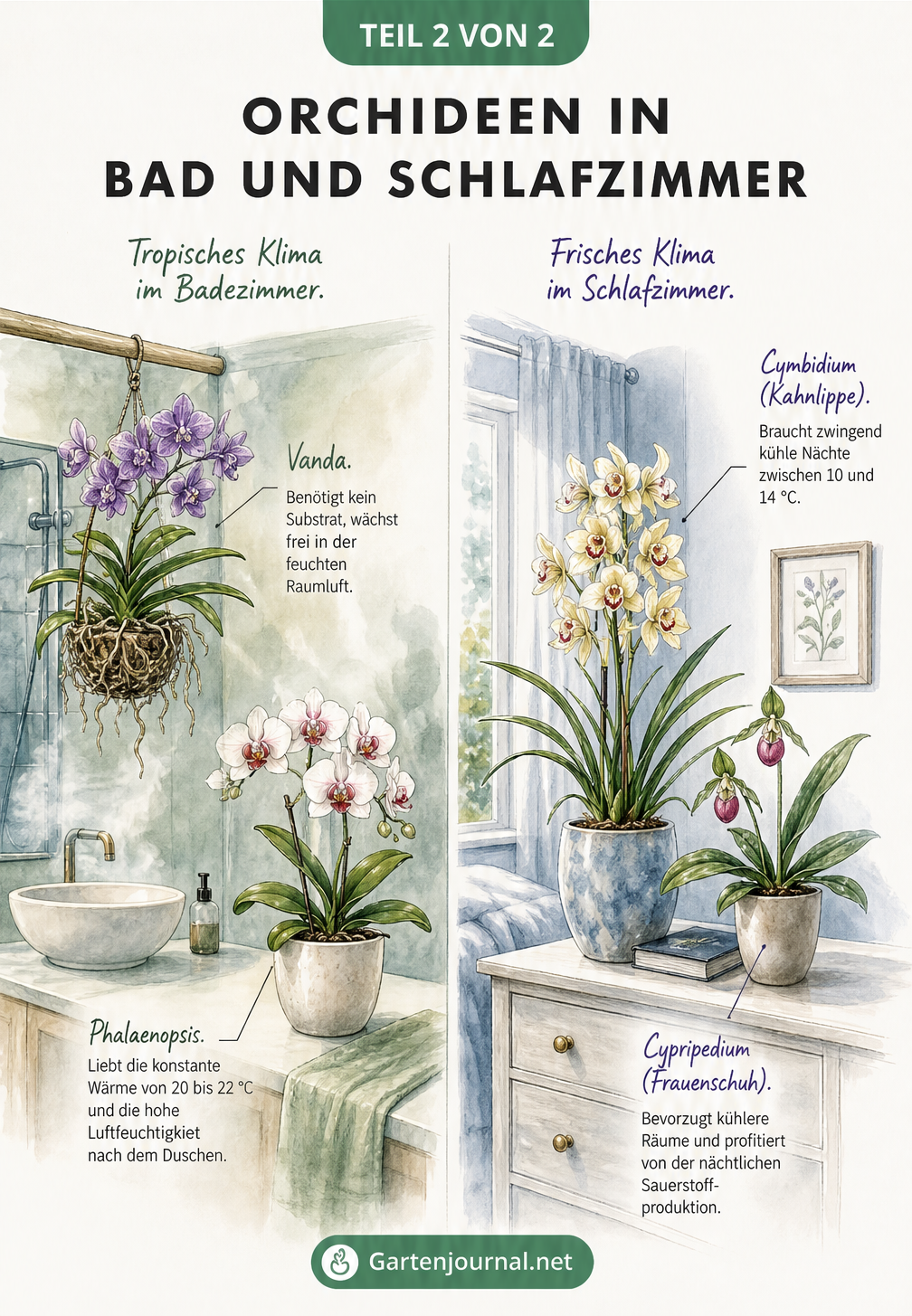 Aquarell-Skizze, die Orchideen im Badezimmer und Schlafzimmer vergleicht, mit Fokus auf tropisches und frisches Klima.