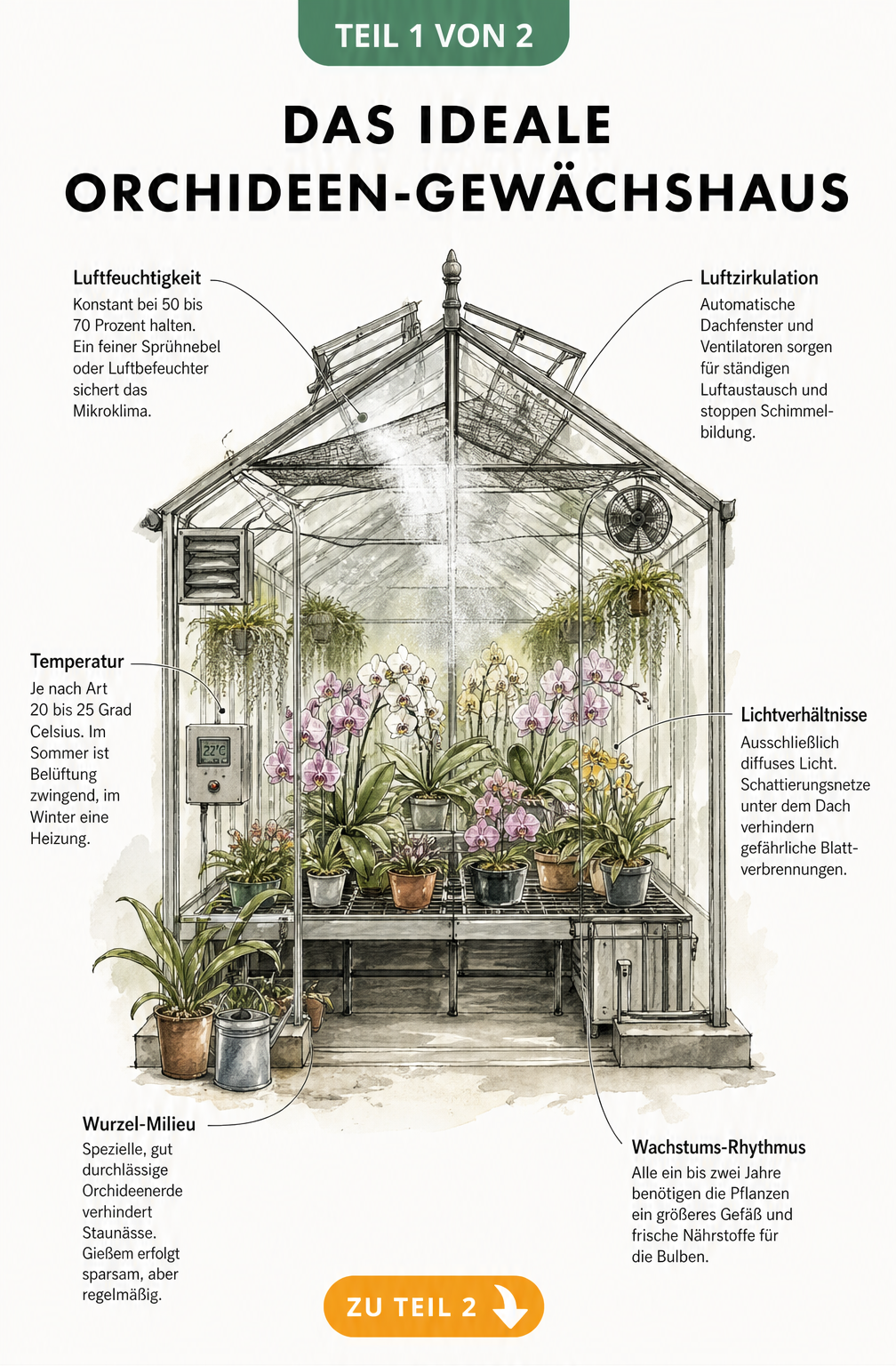 Querschnitt durch ein klassisches Gewächshaus mit blühenden Orchideen und Pflegehinweisen zu Luftfeuchtigkeit, Temperatur und Licht
