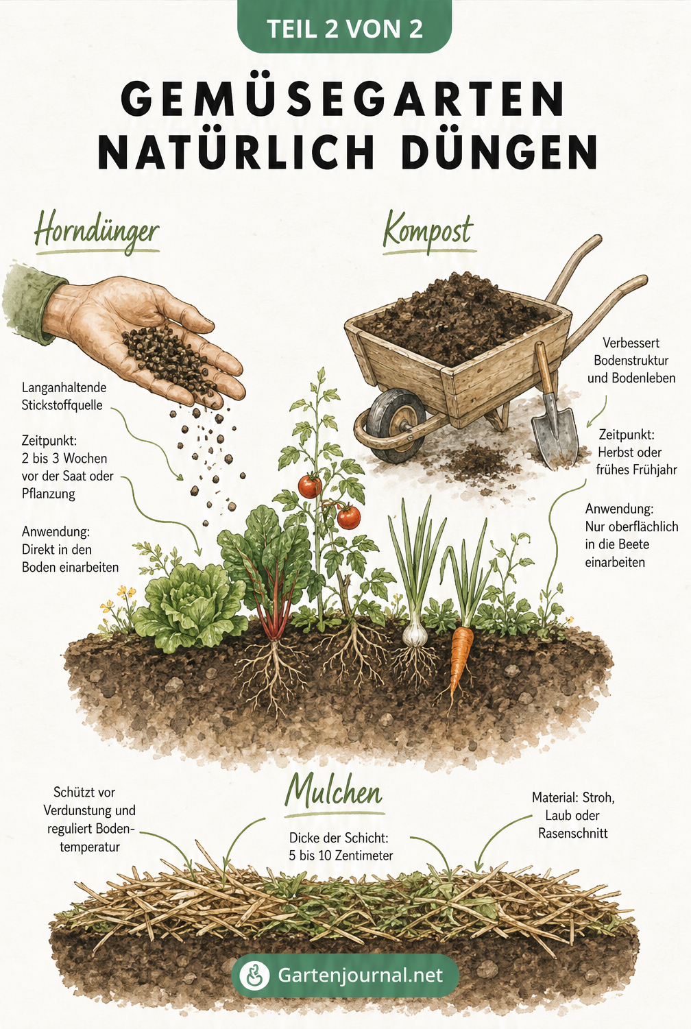 Querschnitt eines Gartenbodens mit Vignetten zu organischen Düngemethoden wie Hornspänen, Kompost und Mulchen.
