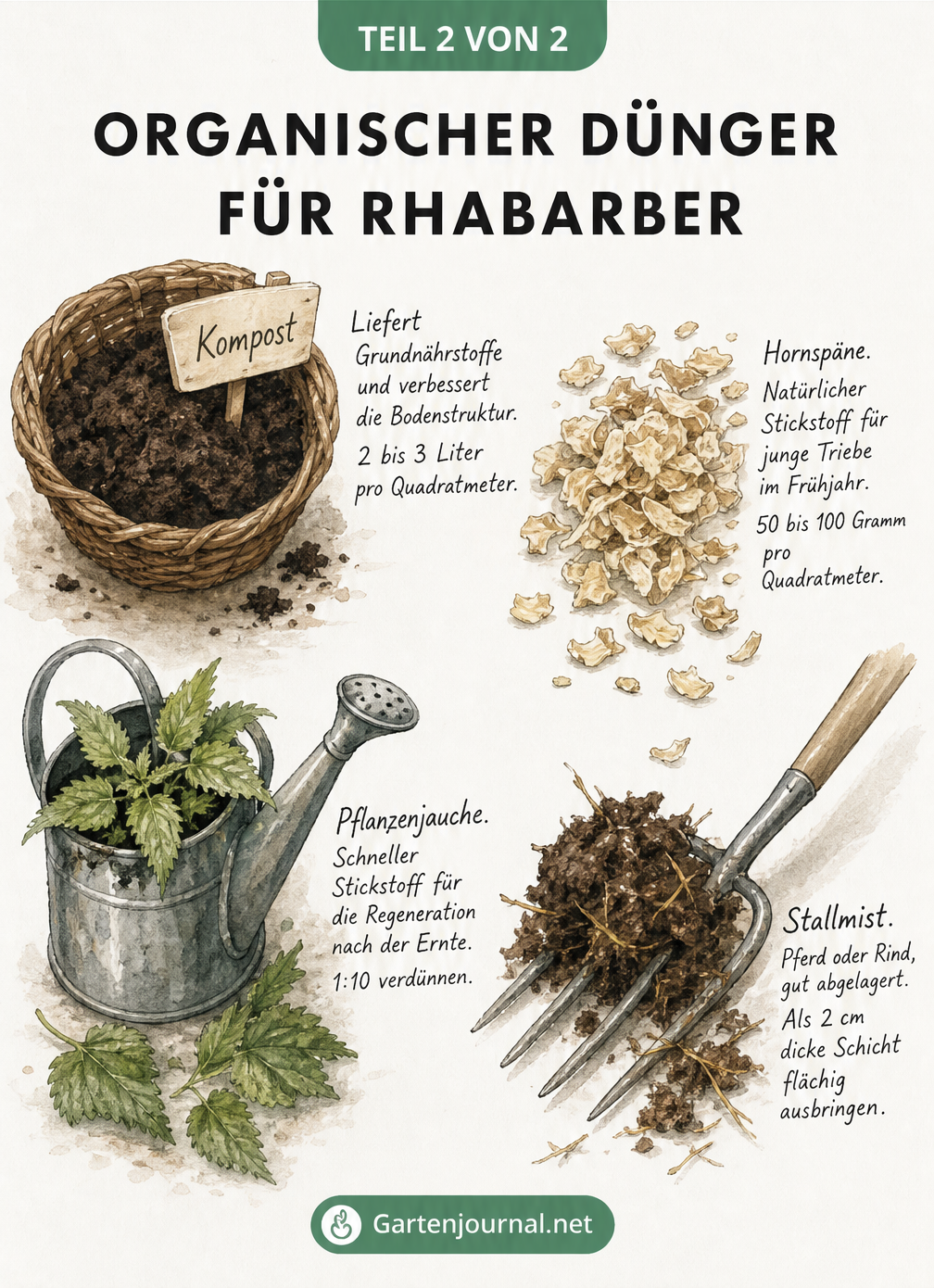 Illustration verschiedener organischer Dünger für Rhabarber wie Kompost, Hornspäne, Pflanzenjauche und Stallmist