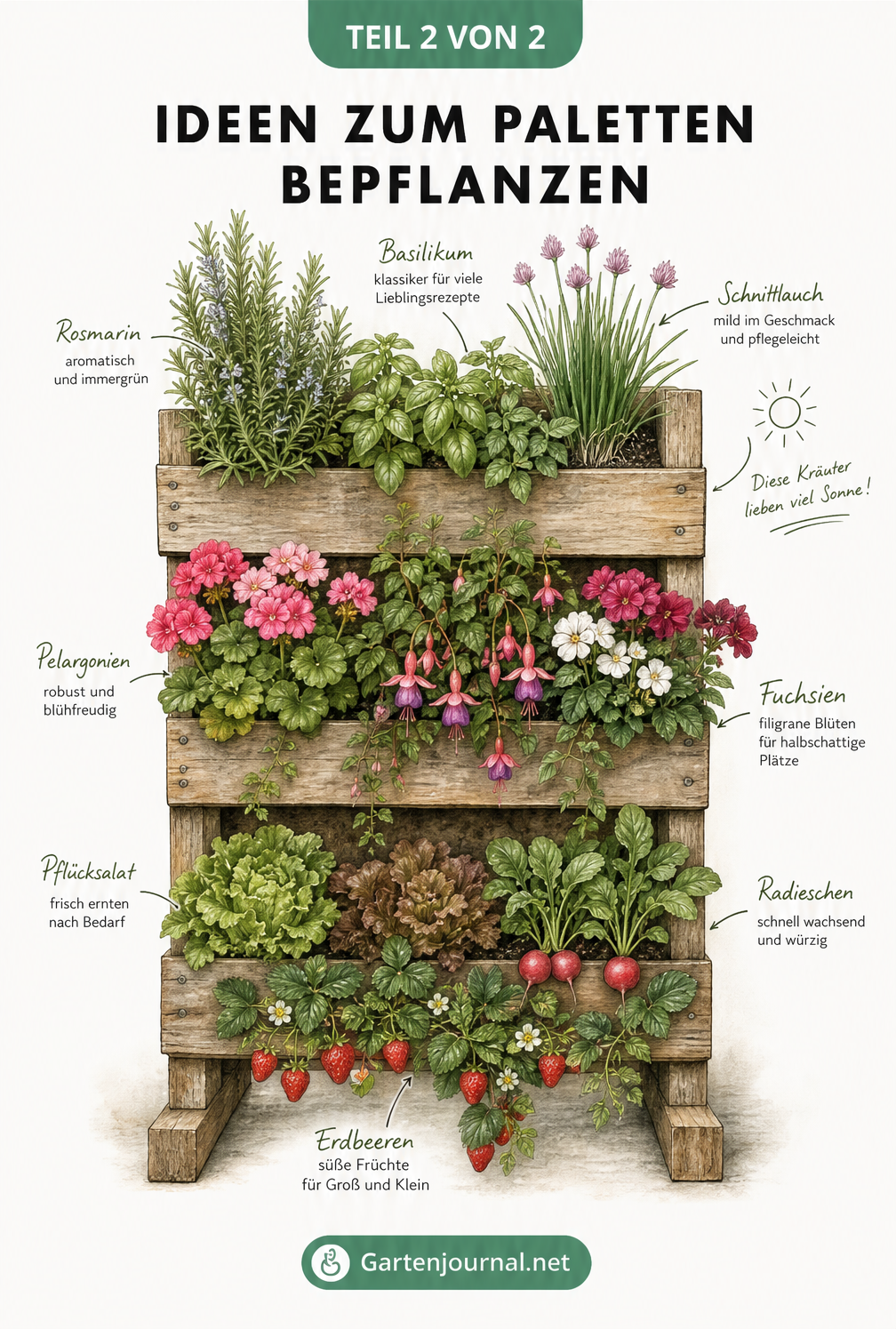Illustration einer bepflanzten Holzpalette mit drei Ebenen: Kräuter oben, Balkonblumen in der Mitte und Mini-Nutzgarten unten.