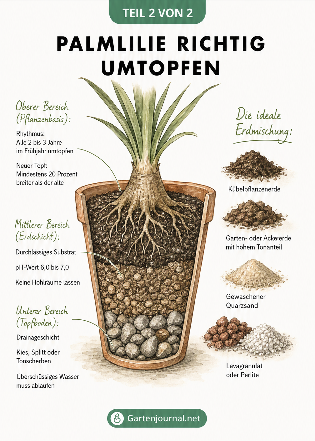 Querschnitt eines Blumentopfs mit Palmlilie und den Bestandteilen der idealen Erdmischung