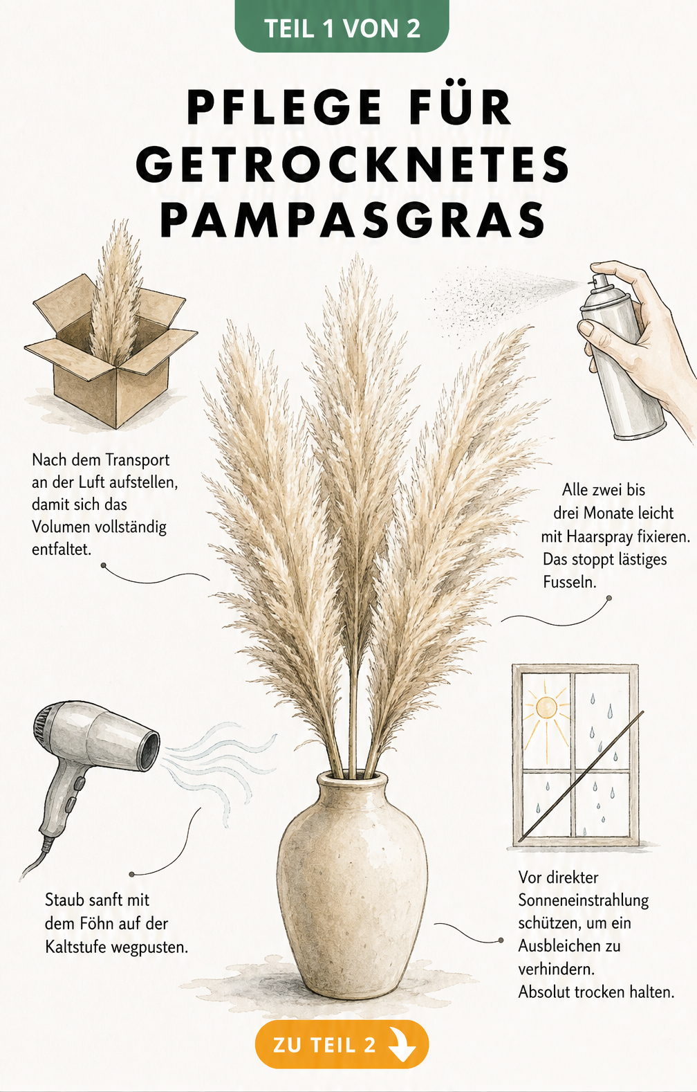 Illustration einer Bodenvase mit getrocknetem Pampasgras und Pflegetipps wie Haarspray und Föhn