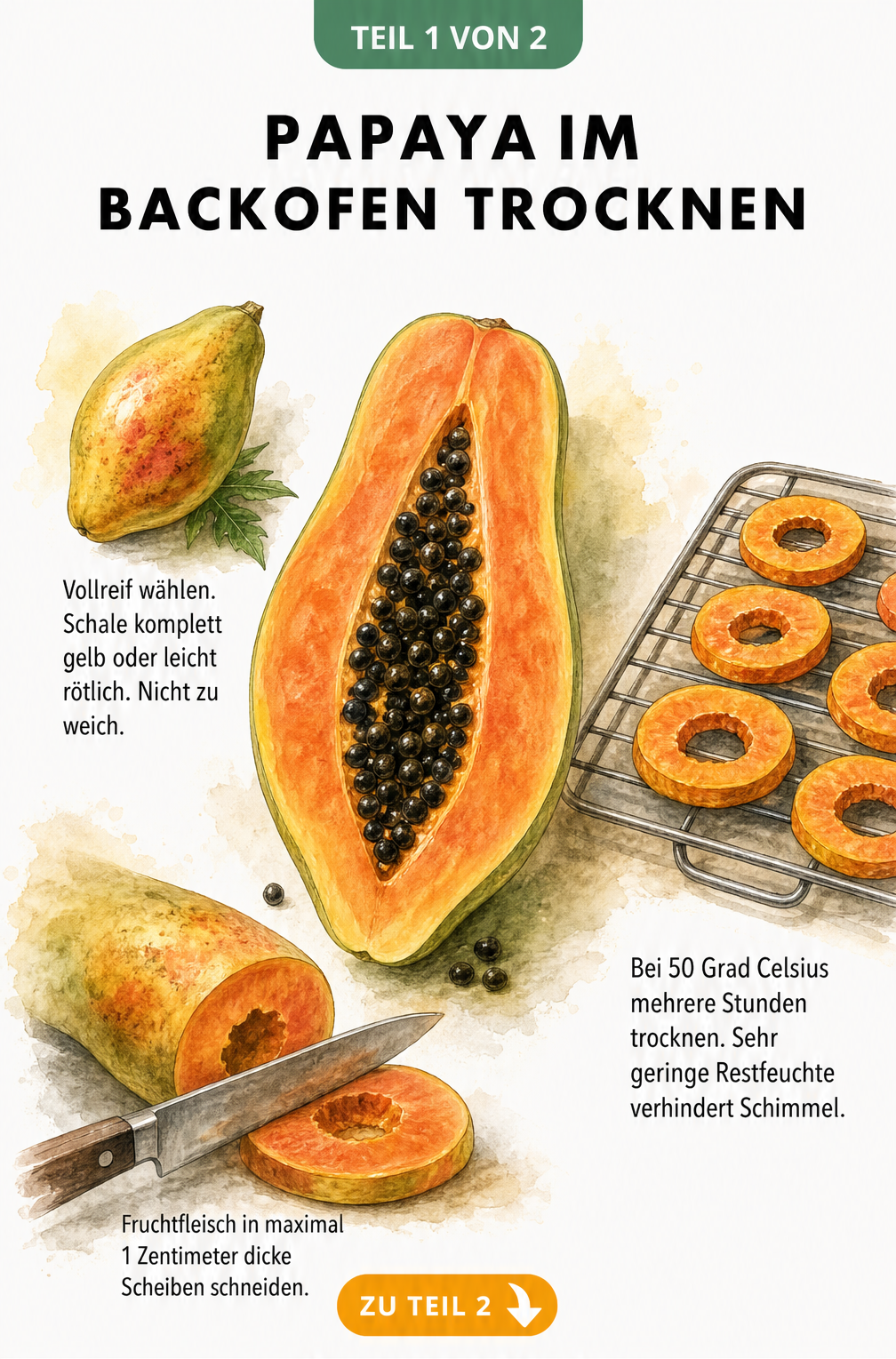 Illustration einer halbierten Papaya mit Anleitung zum Trocknen im Backofen