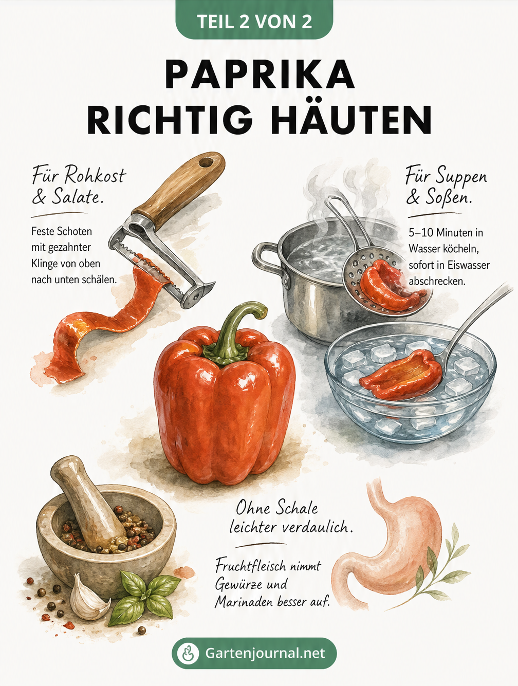 Übersicht der besten Methoden zum Häuten von Paprika je nach Verwendungszweck