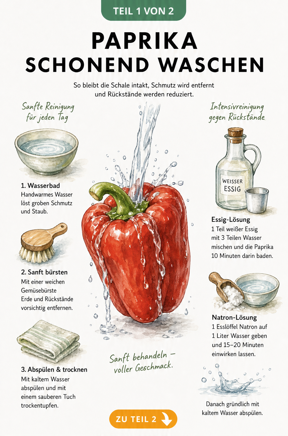 Illustration einer roten Paprika unter fließendem Wasser mit Anleitungen für Standard- und Intensivreinigung