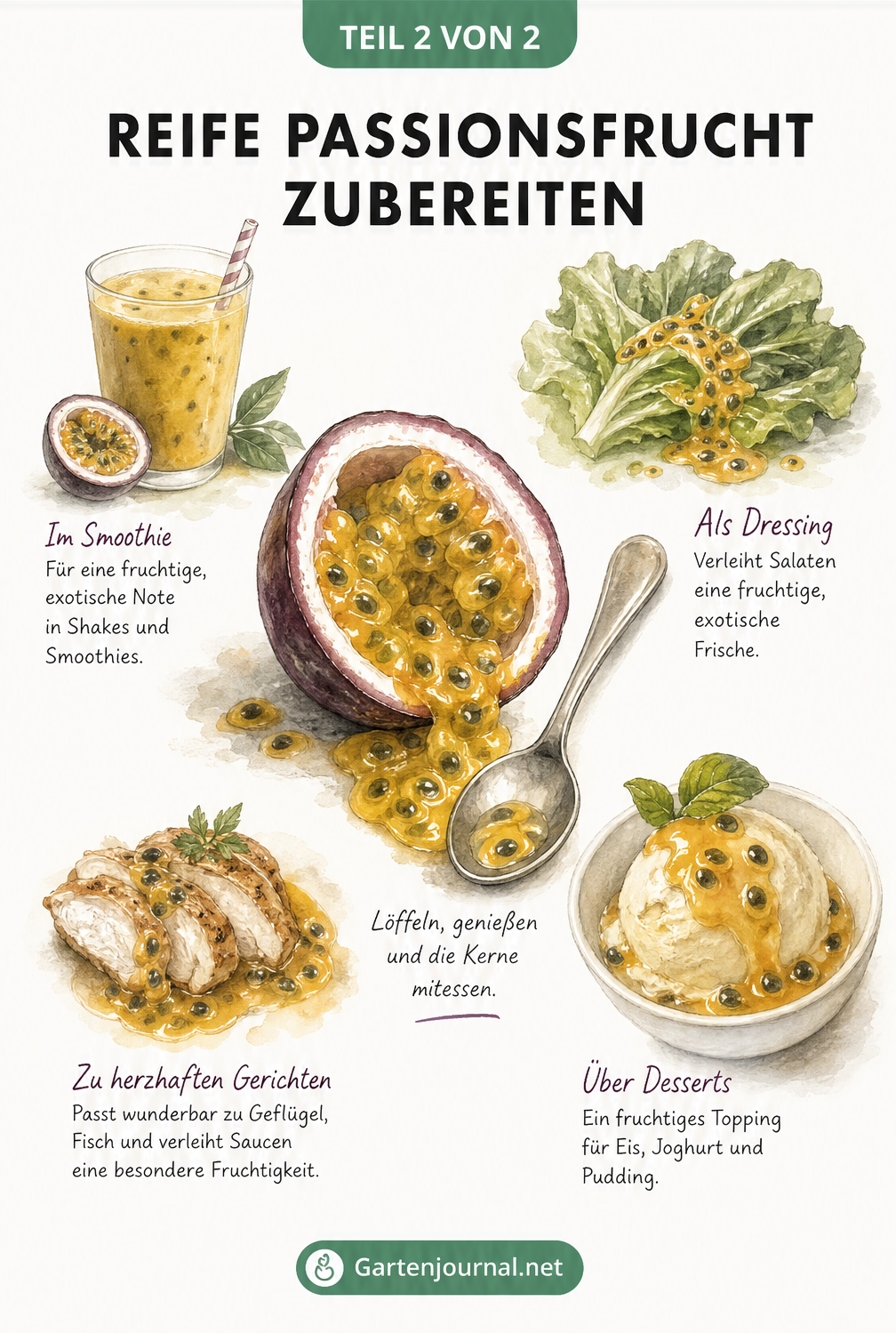 Aquarell-Illustration einer aufgeschnittenen Passionsfrucht mit Vignetten für Smoothie, Dressing, Soße und Eiscreme