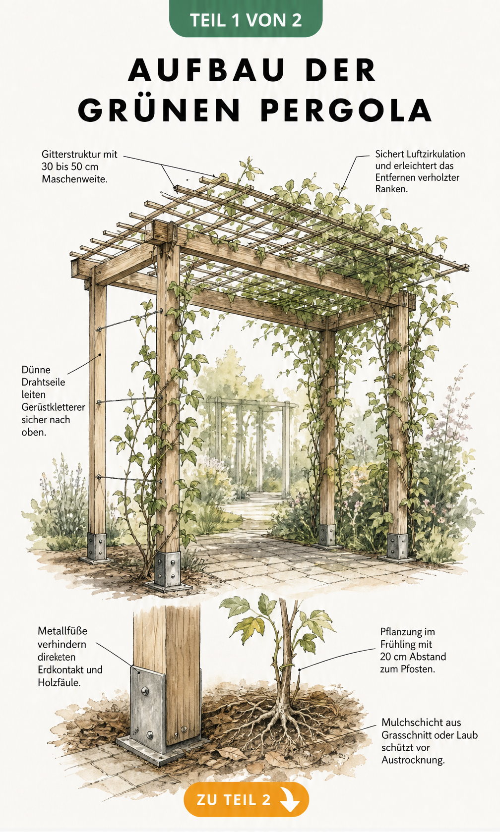 Isometrische Skizze einer Holzpergola mit Details zu Boden, Pfosten und Dachbegrünung