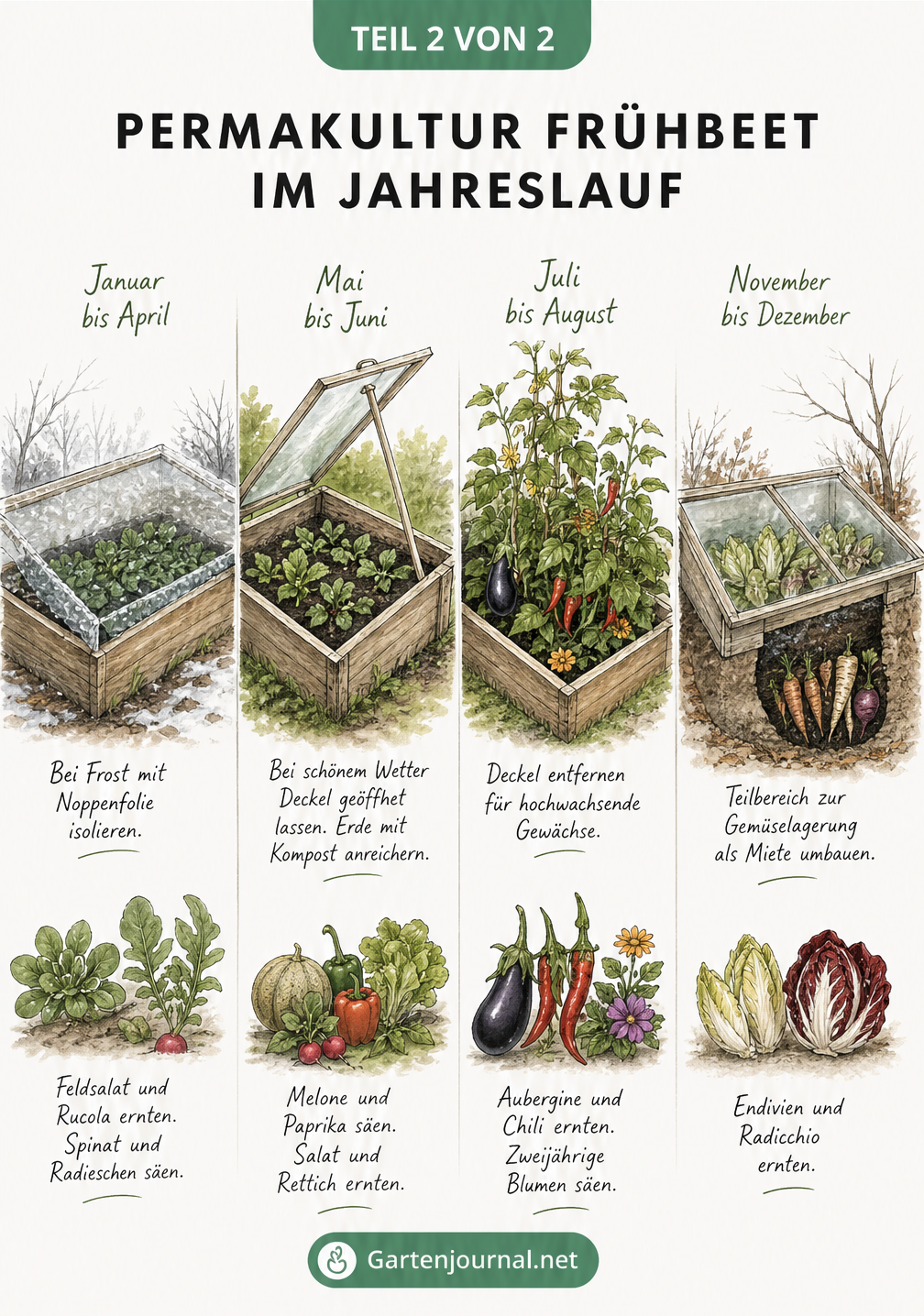 Illustration eines Permakultur-Frühbeets im Wandel der vier Jahreszeiten