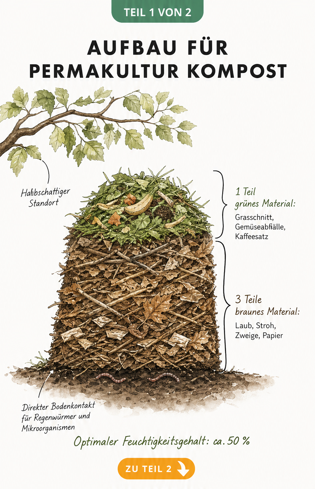 Querschnitt eines Permakultur-Komposthaufens mit Schichtung aus braunem und grünem Material unter einem Laubbaum