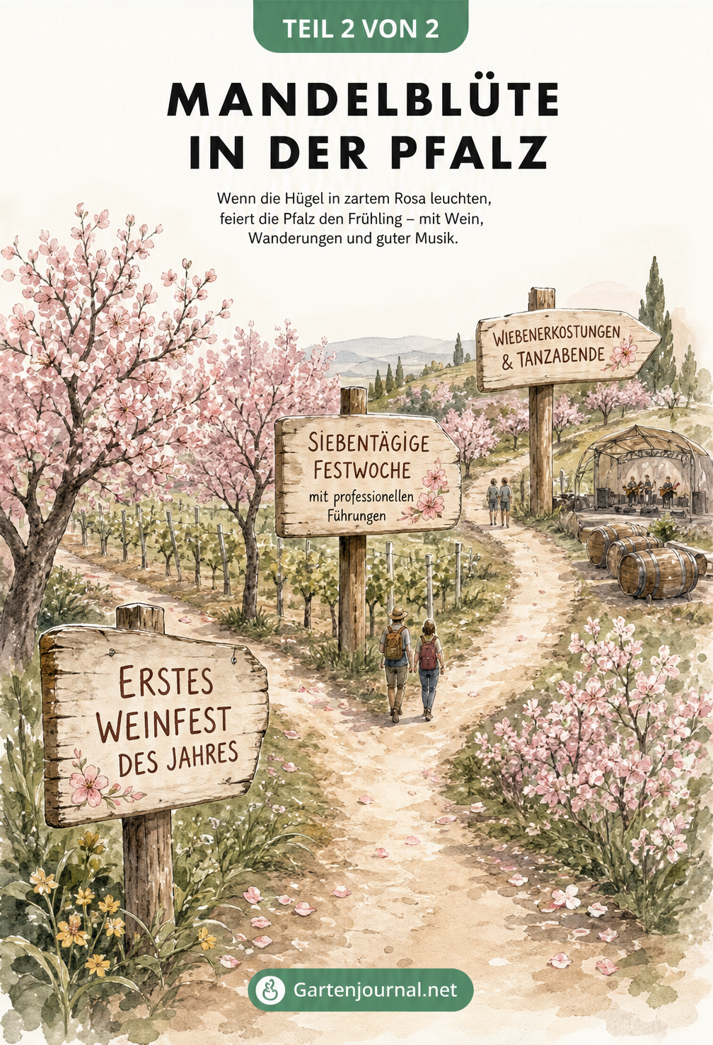 Illustration des Pfälzer Mandelpfads mit Wegweisern zu Weinfest und Führungen