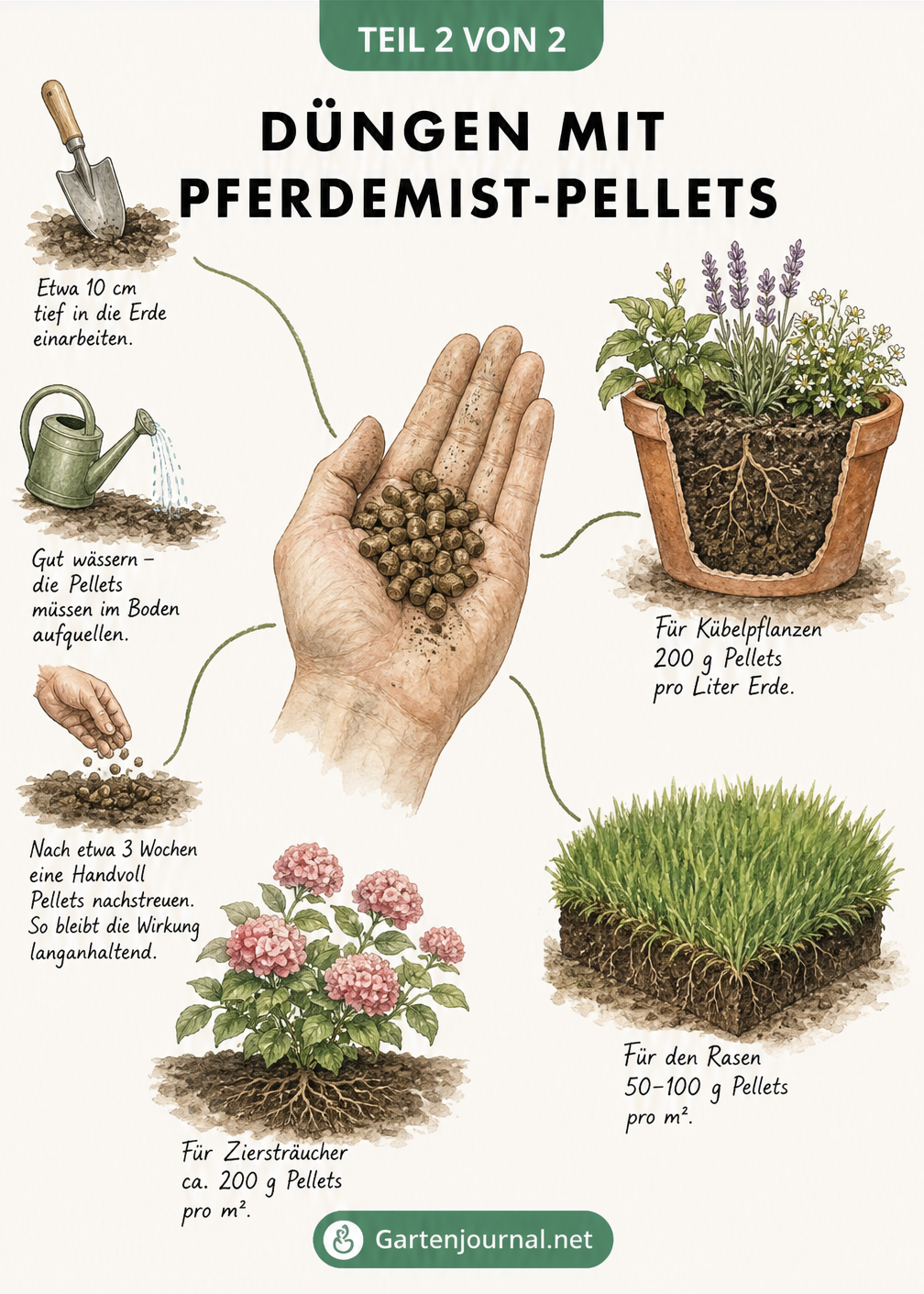 Illustration zur Dosierung und Anwendung von Pferdemist-Pellets bei Kübelpflanzen, Rasen und Ziersträuchern.