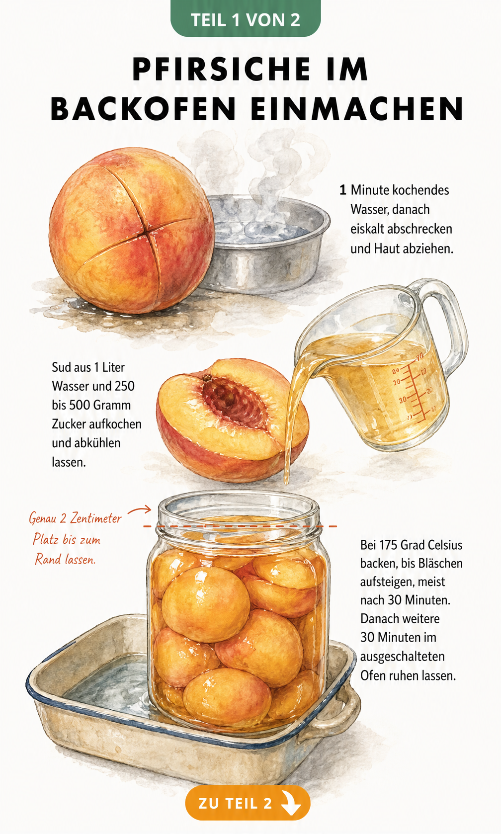 Aquarell-Illustration: Pfirsiche blanchieren, Sud kochen und im Backofen einkochen