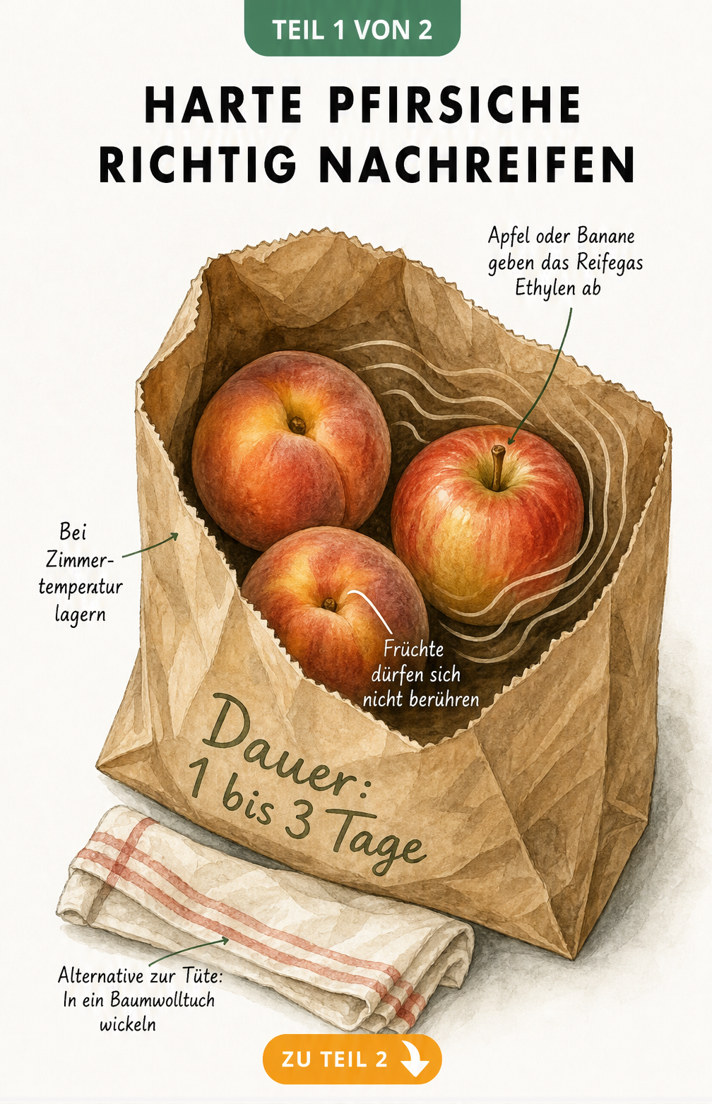 Illustration einer Papiertüte mit Pfirsichen und einem Apfel zum schnellen Nachreifen durch Ethylen