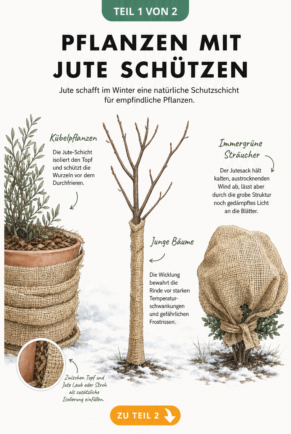 Illustration einer winterlichen Gartenszene mit Pflanzen, die durch Jute geschützt sind: ein umwickelter Pflanzkübel, ein bandagierter Baumstamm und ein...