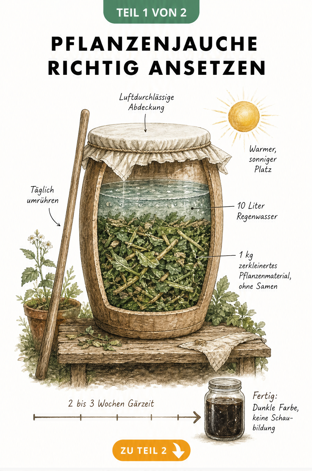 Illustration eines Holzfasses mit Pflanzenjauche, das Mischungsverhältnis und Gärzeit zeigt