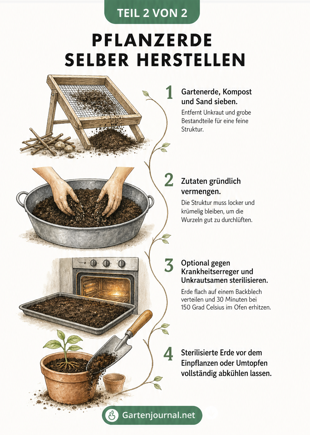 Illustration der vier Arbeitsschritte zur Herstellung eigener Pflanzerde: Sieben, Vermengen, Sterilisieren und Einpflanzen