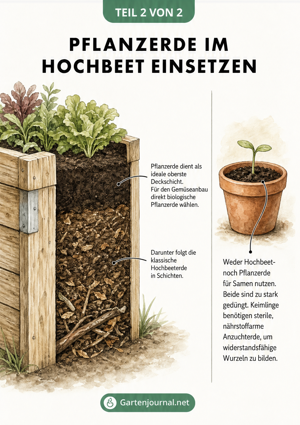 Querschnitt eines Hochbeets mit Pflanzerde als Deckschicht und einem Anzuchttopf daneben