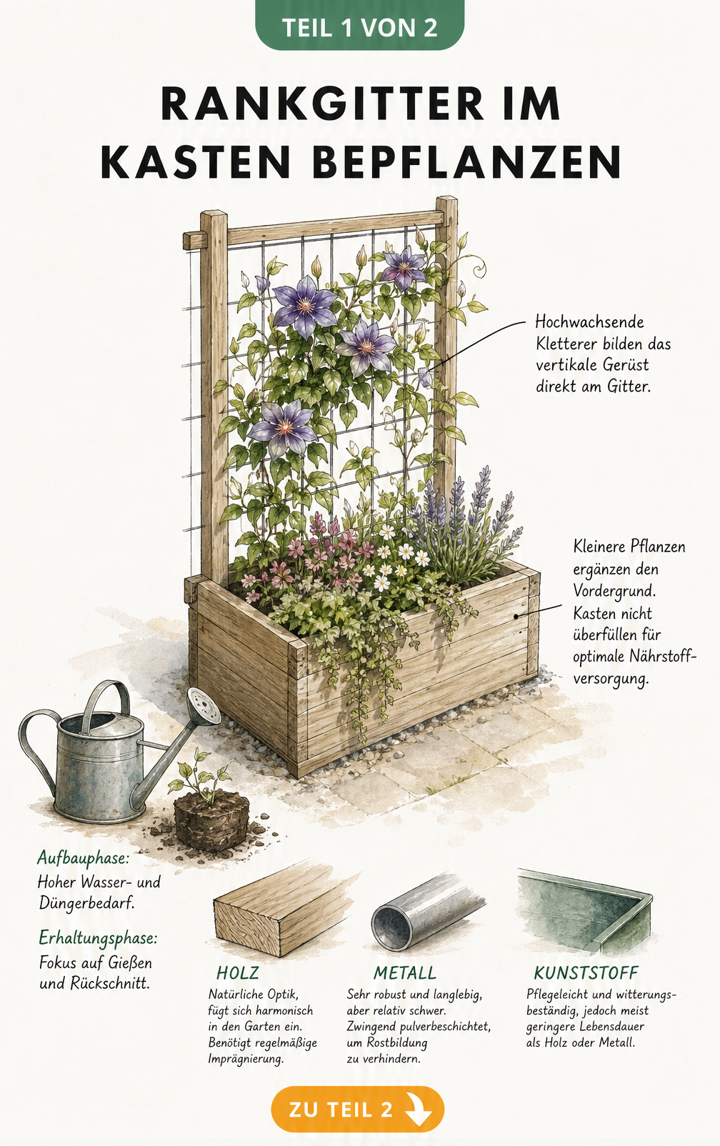 Illustration eines Pflanzkastens mit Rankgitter, Kletterpflanzen und Materialproben