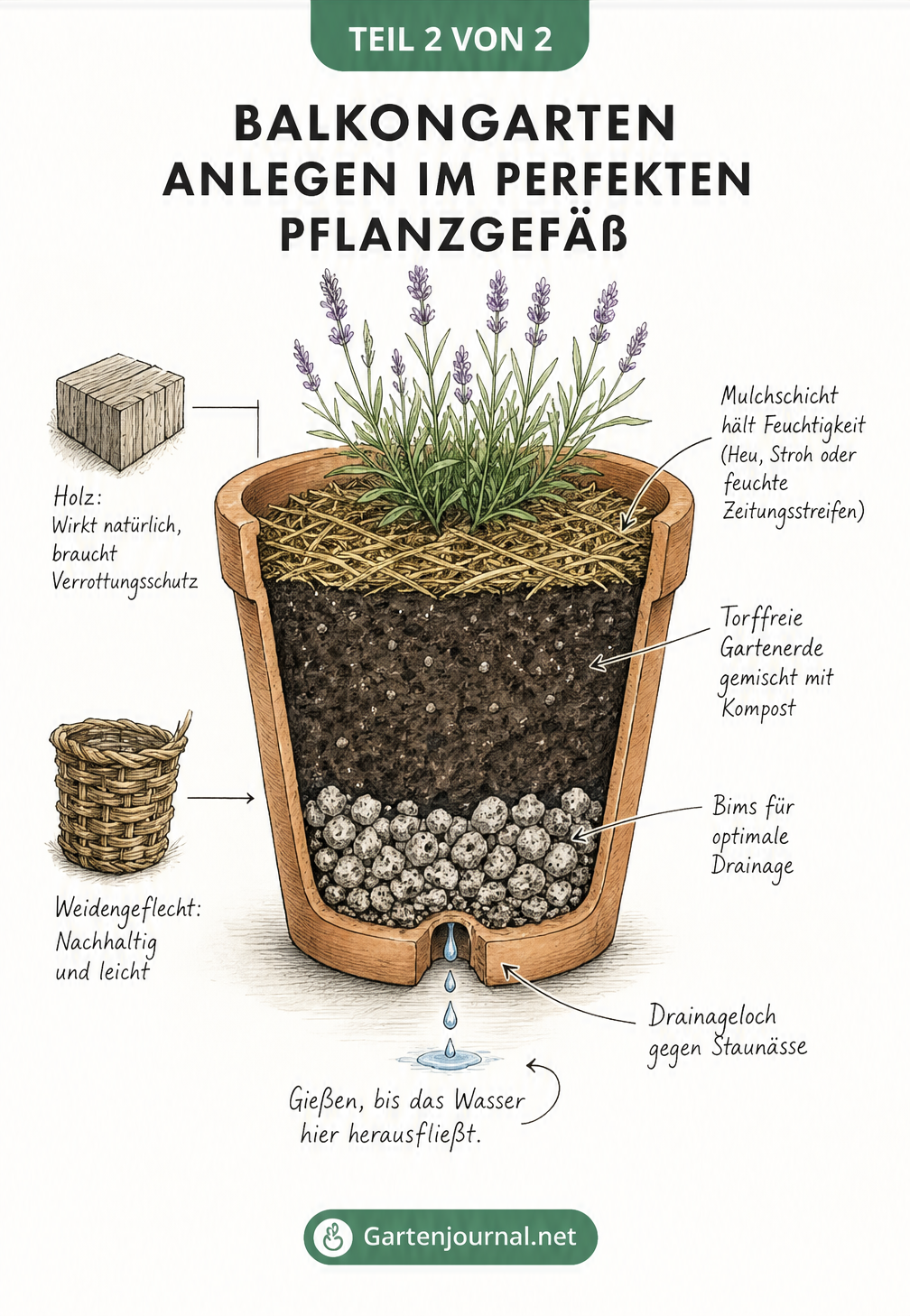 Schnittzeichnung eines bepflanzten Terrakotta-Kübels mit Schichten aus Bims, Erde und Mulch