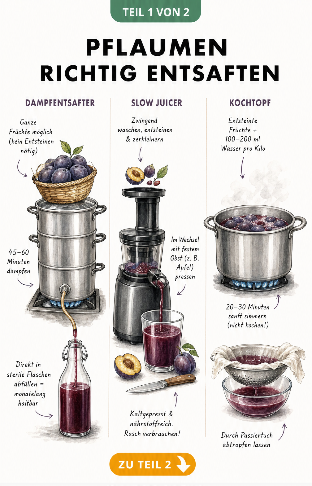 Illustration von drei Methoden zum Pflaumen entsaften: Dampfentsafter, Slow Juicer und Kochtopf mit Passiertuch.