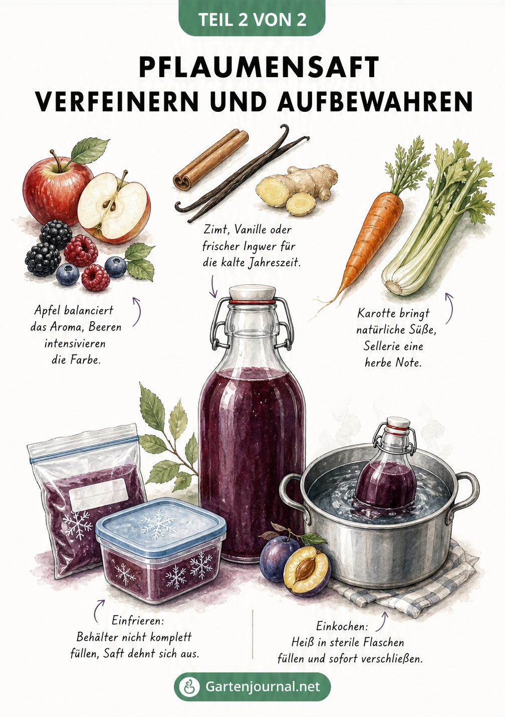 Illustration zur Verfeinerung von Pflaumensaft mit Apfel, Beeren, Karotte, Sellerie und Gewürzen sowie Tipps zum Einfrieren und Einkochen.