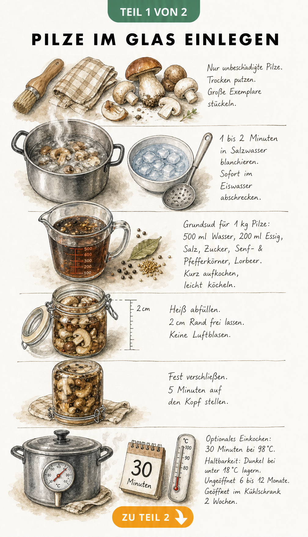 Illustration der Arbeitsschritte zum Einlegen von Pilzen: Putzen, Blanchieren, Sud kochen und Abfüllen ins Einmachglas.
