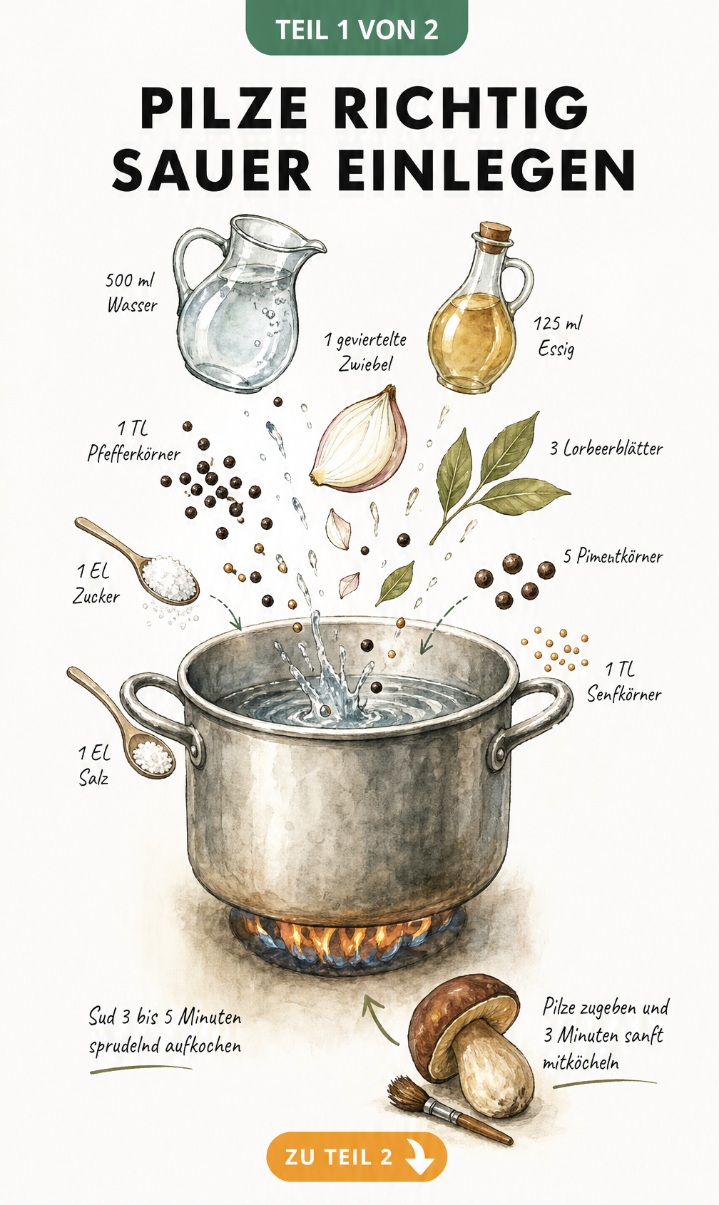 Illustration eines Kochtopfs mit Zutaten für Pilzsud wie Wasser, Essig, Zwiebeln und Gewürzen