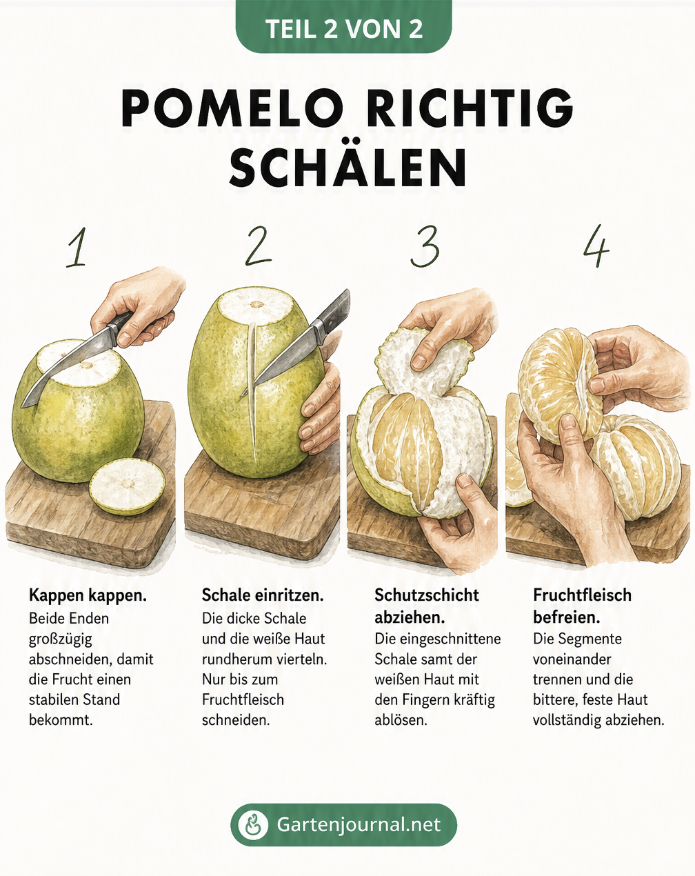 Schritt-für-Schritt-Anleitung zum Schälen einer Pomelo in vier Schritten