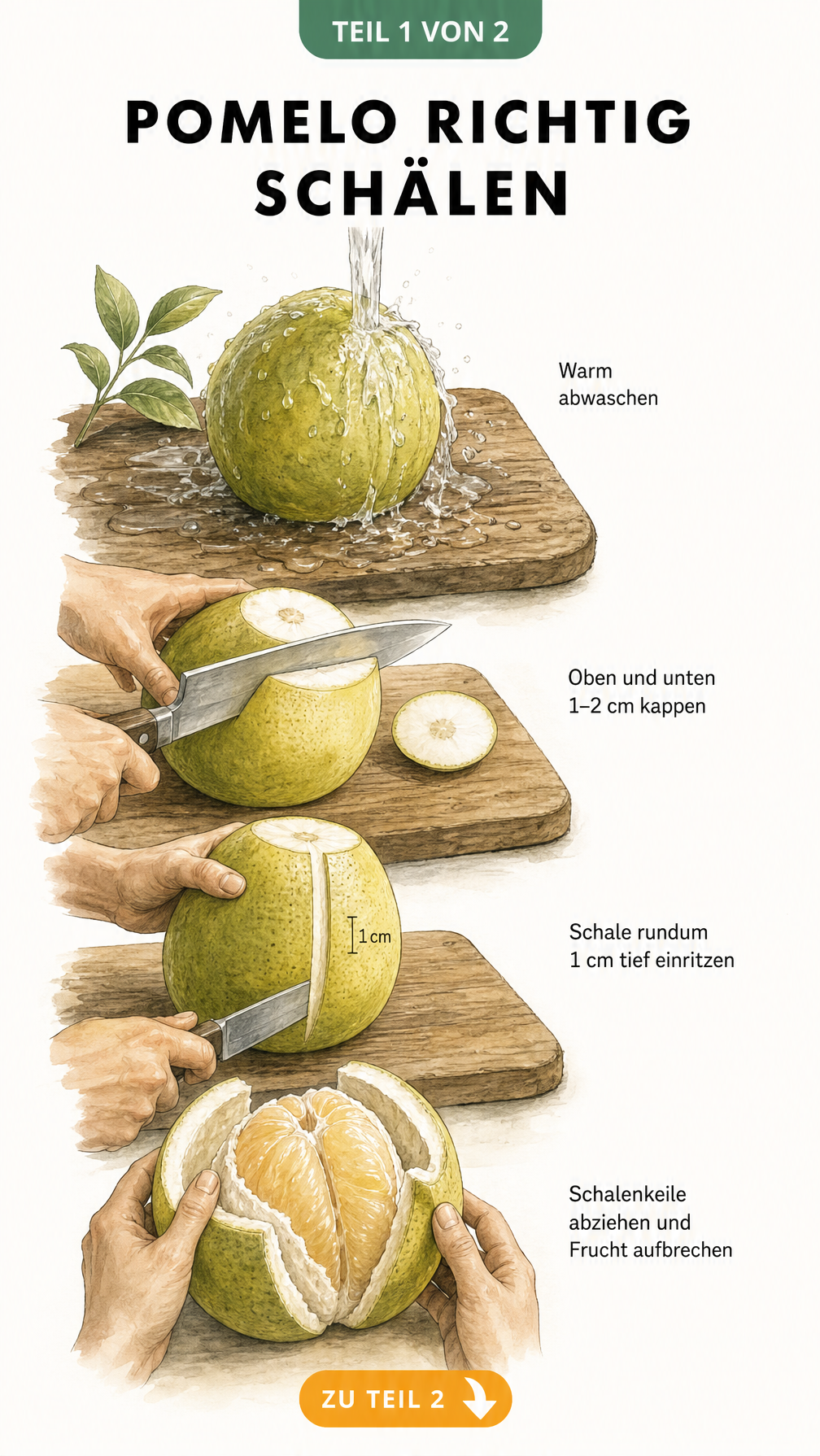 Illustration: Pomelo schälen in vier Schritten auf einem Holzbrett
