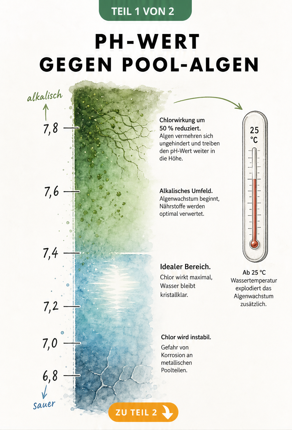 Aquarell-Skala zeigt den idealen pH-Wert im Pool zwischen 7,0 und 7,4 sowie die Folgen von zu saurem oder alkalischem Wasser auf Algenwachstum und Chlorwirkung.