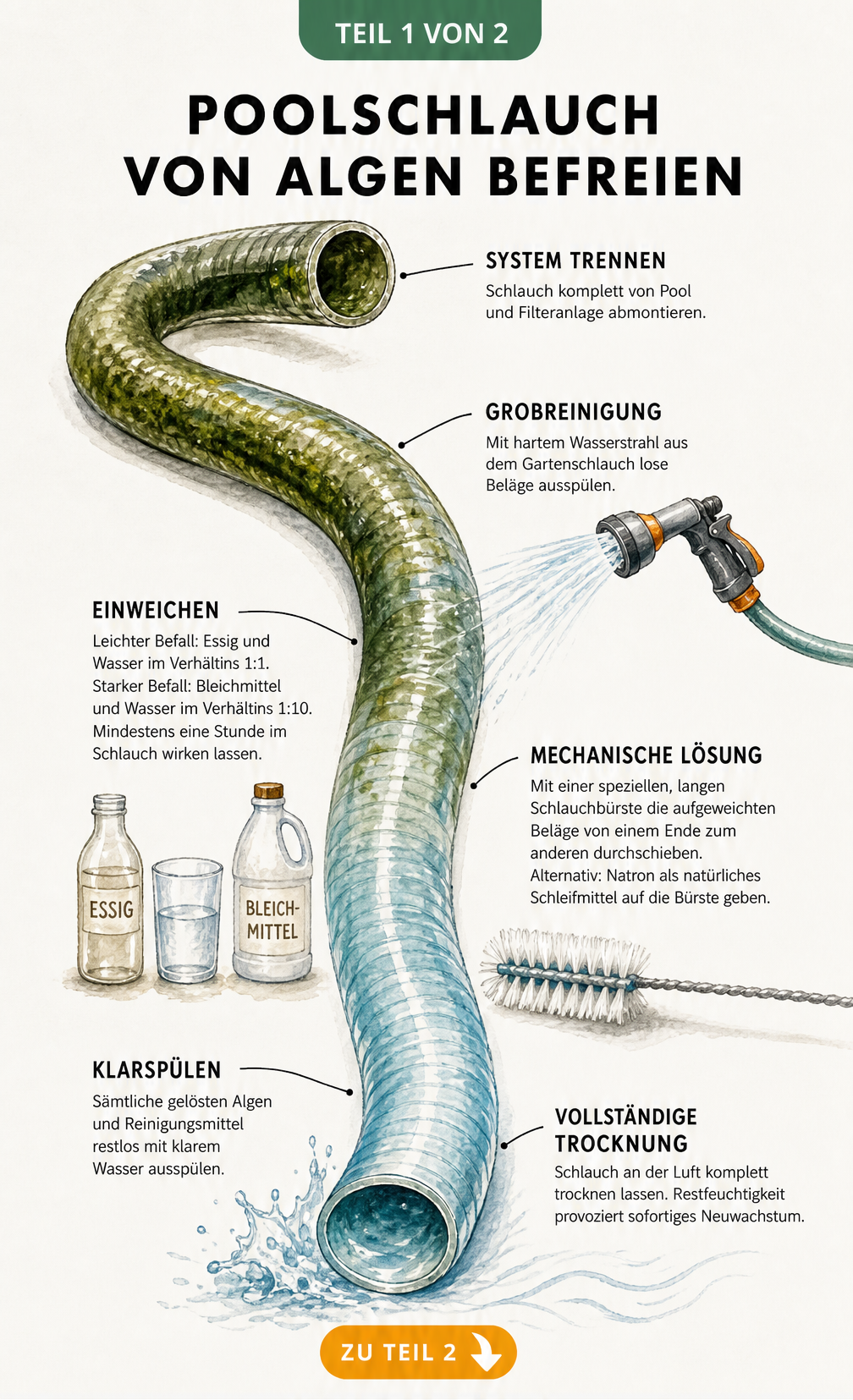 Illustration eines Poolschlauchs, der von oben nach unten gereinigt wird, mit Schritten wie System trennen, Grobreinigung, Einweichen, Mechanische Lösung,...