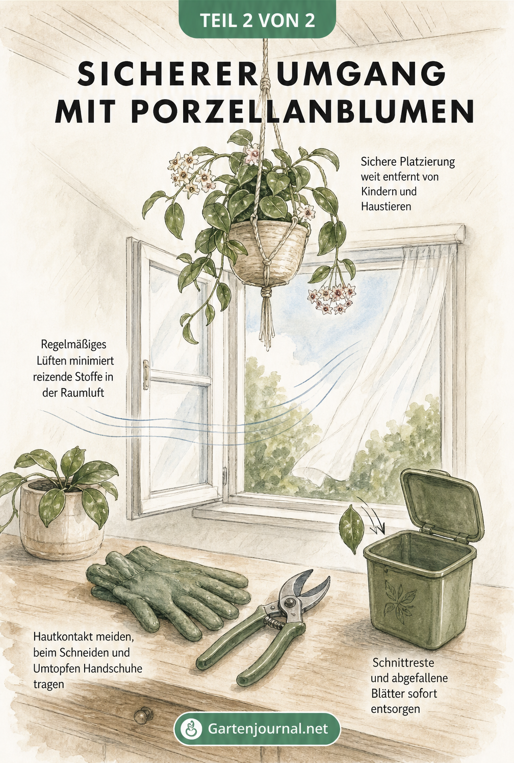 Illustration eines Zimmers mit einer hängenden Porzellanblume und Tipps zum sicheren Umgang wie Handschuhe tragen und lüften