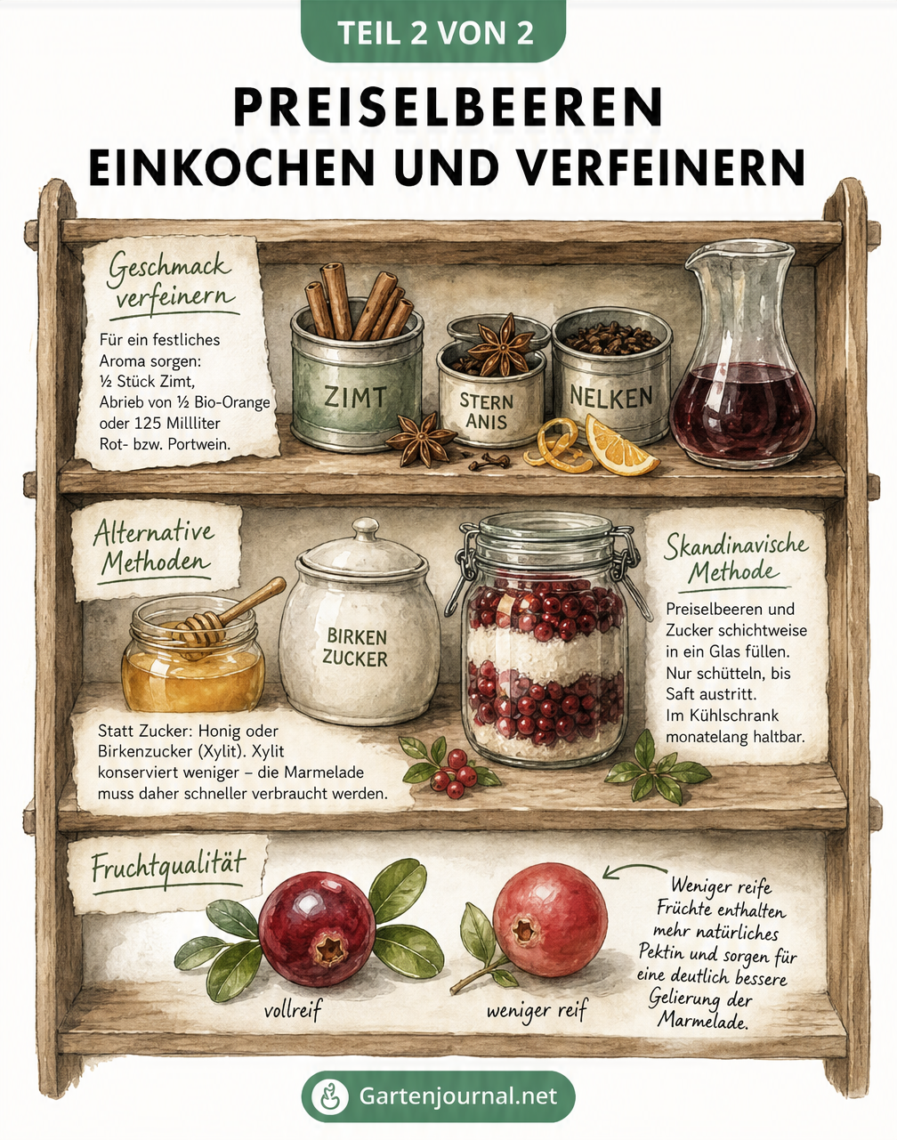 Illustration eines Vorratsregals mit Gewürzen, Honig und Preiselbeeren zur Verfeinerung von Marmelade