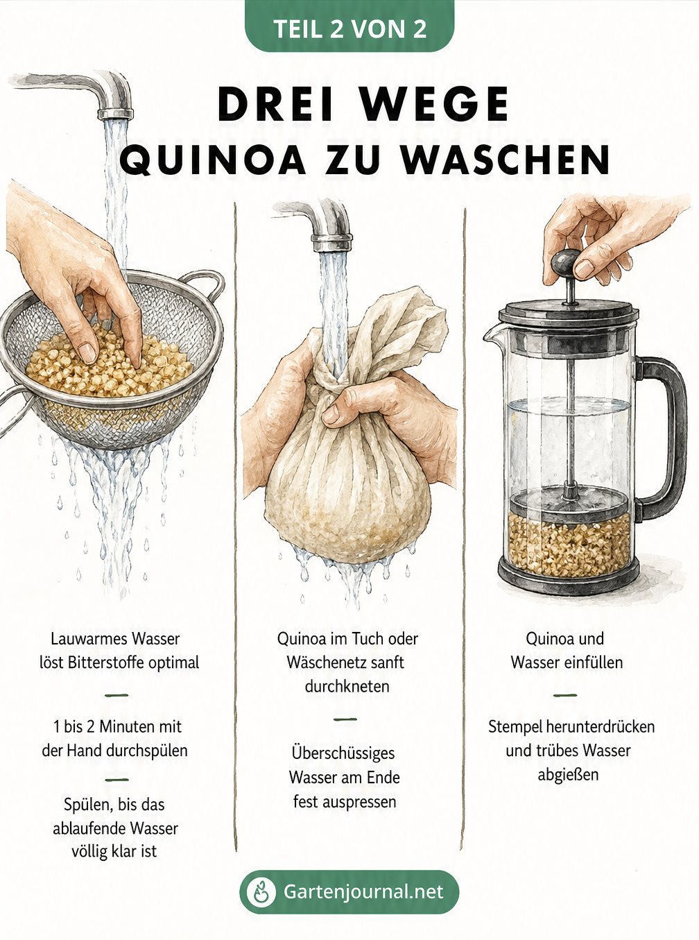 Drei Methoden zum Waschen von Quinoa: im feinen Sieb, im Baumwolltuch und in der Pressstempelkanne.