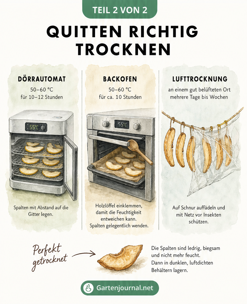 Skizzen von drei Trocknungsmethoden für Quitten: Dörrautomat, Backofen mit eingeklemmtem Holzlöffel und Lufttrocknung an einer Schnur.