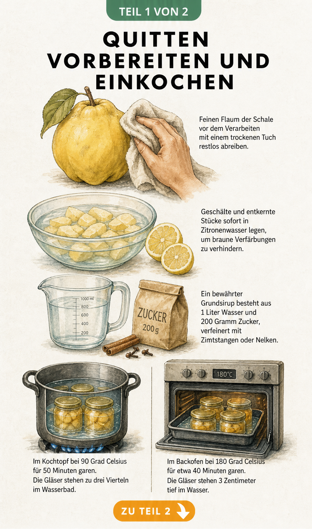 Illustration der Vorbereitung und des Einkochens von Quitten mit Zitronenwasser, Sirup und Garmethoden