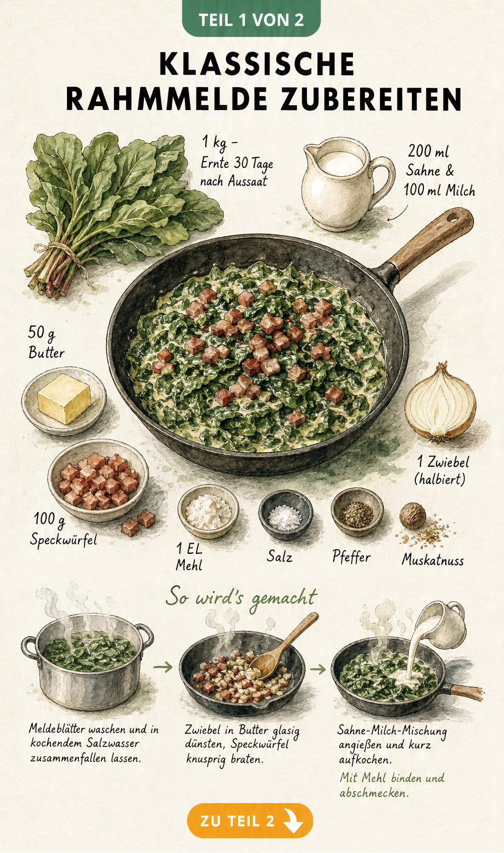 Handgezeichnete Rezeptskizze für Rahmmelde mit Zutaten wie Meldeblättern, Sahne, Speck und Zwiebeln sowie den Zubereitungsschritten.