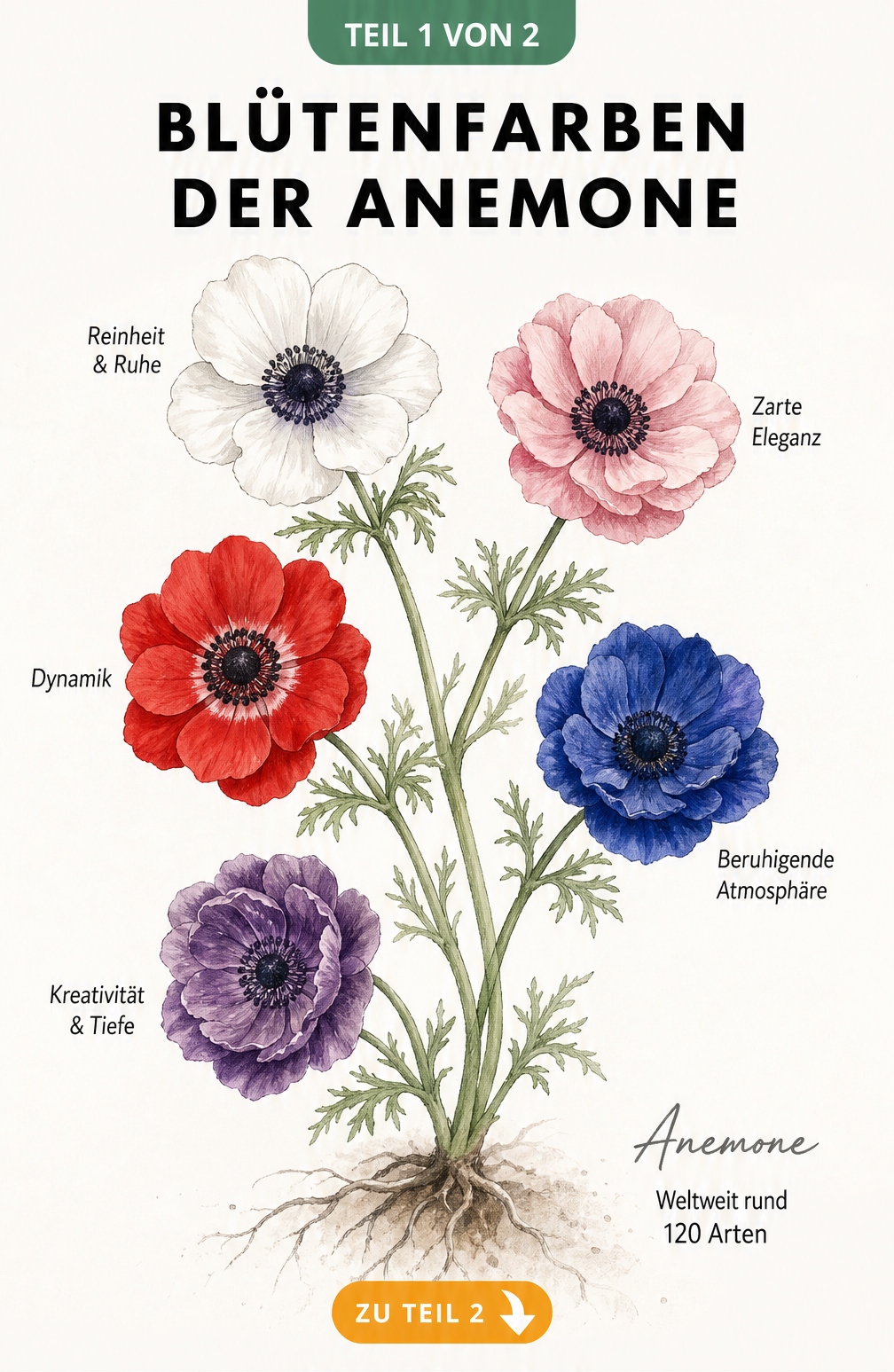 Architektur-Skizze des RAL-Farbtons Anemonenweiß mit Pinselstrich und Waschbecken