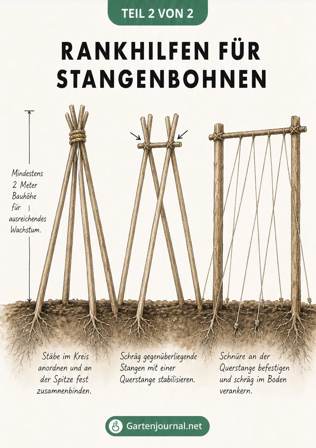 Drei verschiedene Rankhilfen für Stangenbohnen: Bohnentipi, A-Form und eine Kombination aus Stangen und Schnüren