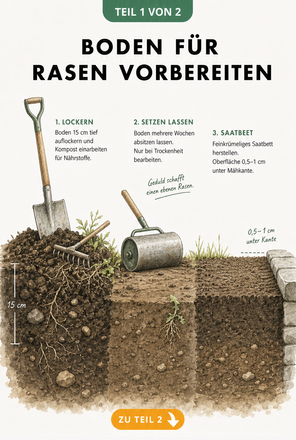 Erdschnitt zeigt die Bodenlockerung für Rasen mit Spaten, Kompost und Harke