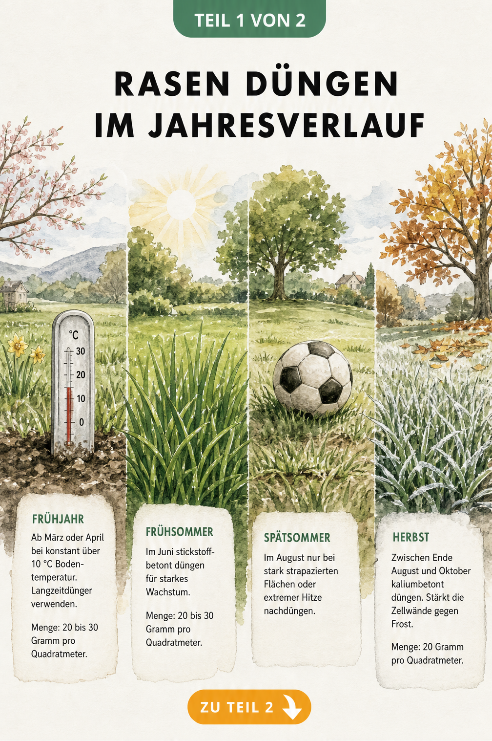 Aquarell-Illustration der Rasendüngung im Jahresverlauf mit Bodenthermometer im Frühjahr und Raureif im Herbst