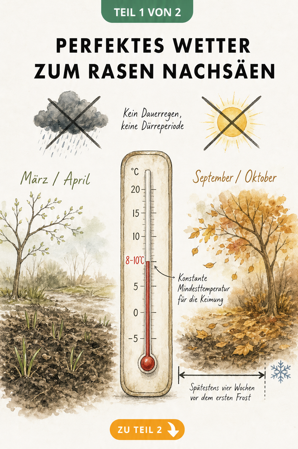 Illustration eines Thermometers bei 8-10 Grad Celsius und Jahreszeiten für die Rasennachsaat