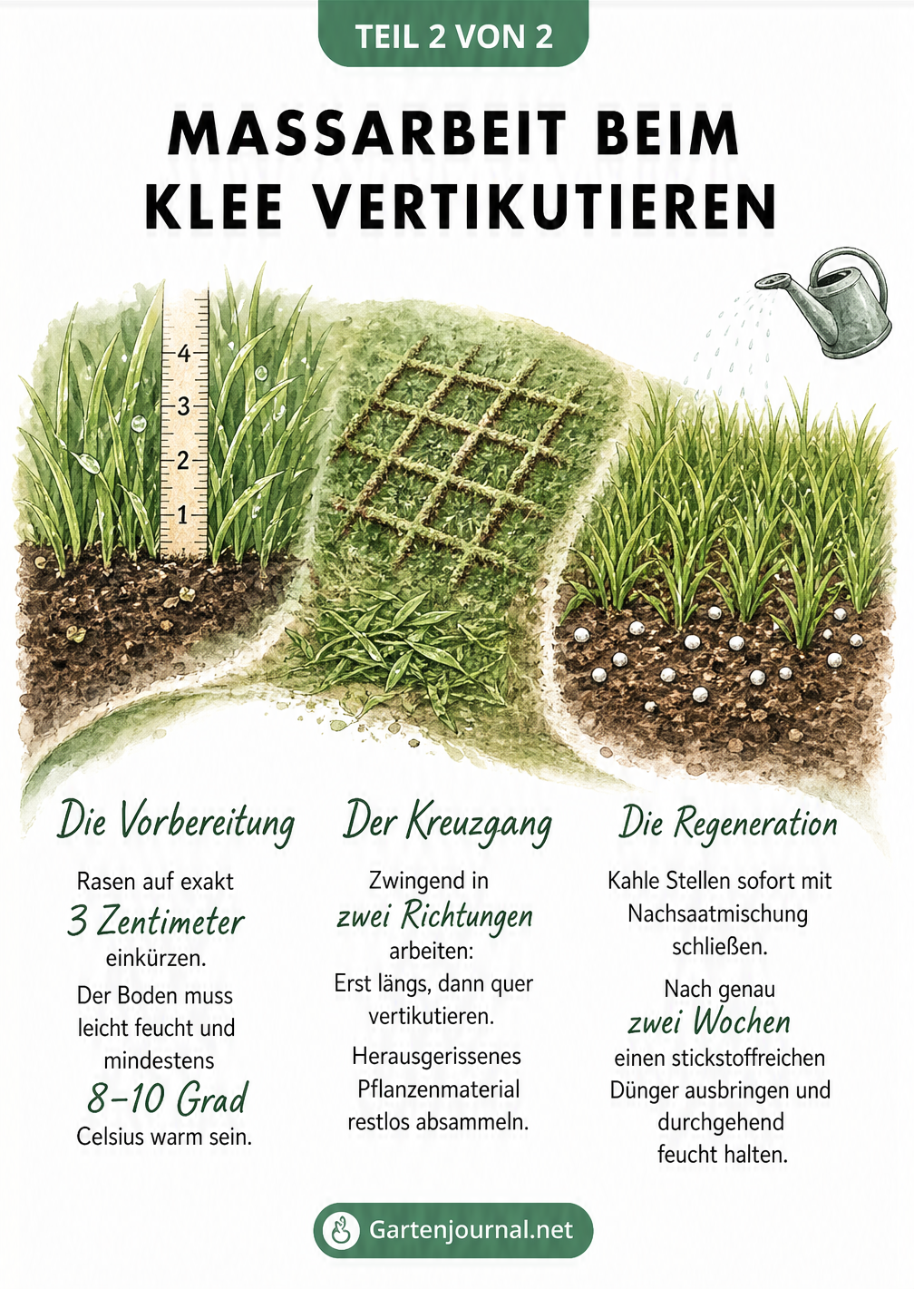 Illustration der drei Phasen beim Vertikutieren: Vorbereitung, Kreuzgang und Regeneration des Rasens