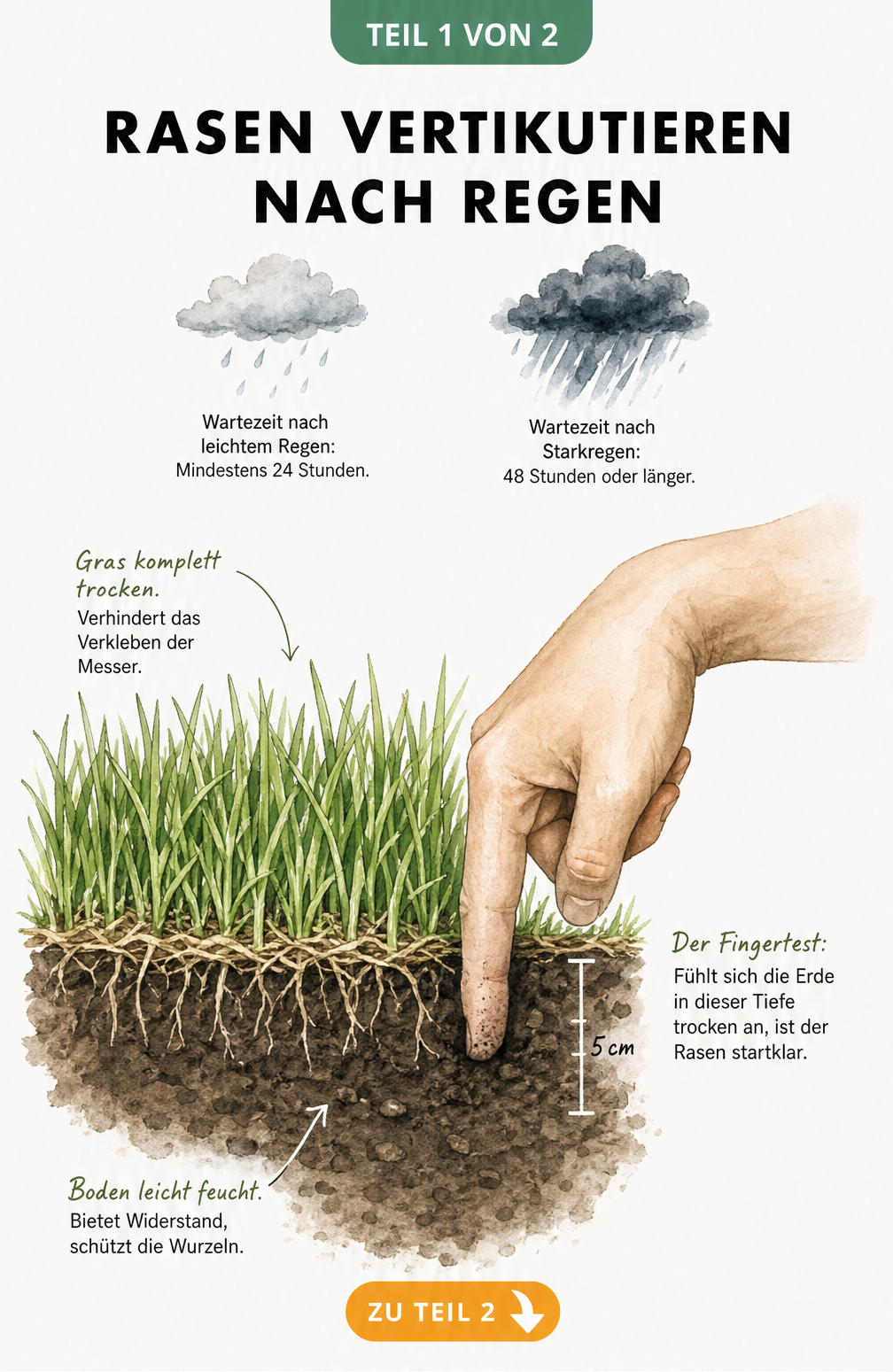 Querschnitt eines Rasens mit trockenem Gras und leicht feuchtem Boden sowie einem Fingertest zur Bestimmung der Feuchtigkeit